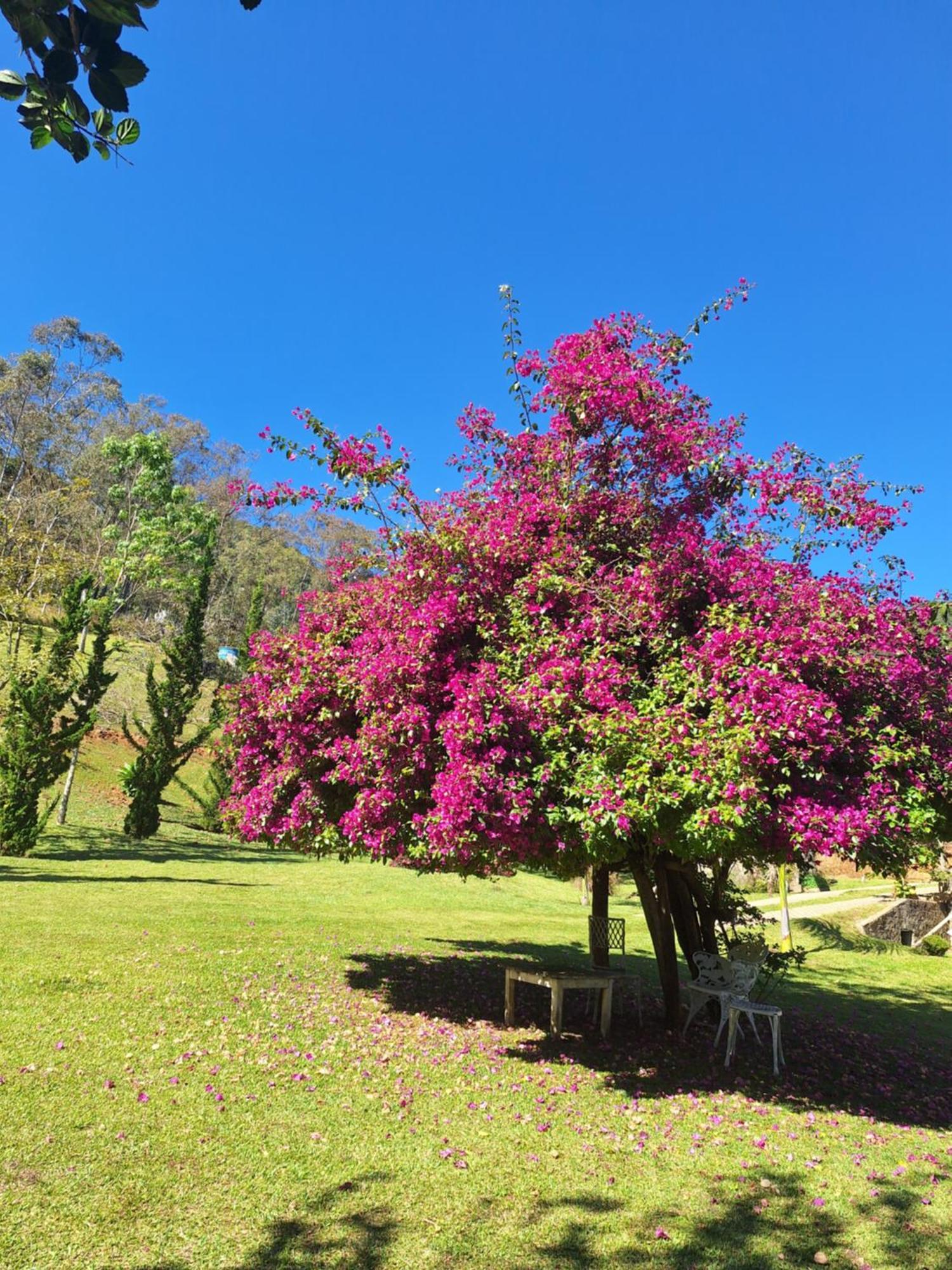 Pousada Vista Linda Sao Bento do Sapucai Luaran gambar